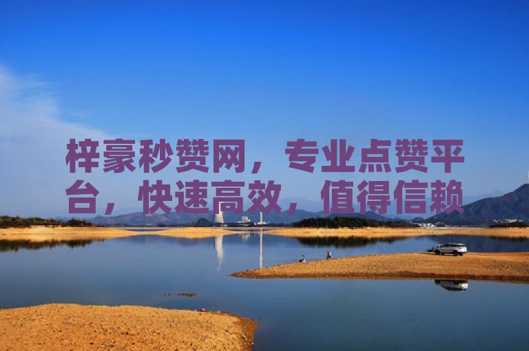 梓豪秒赞网，专业点赞平台，快速高效，值得信赖。