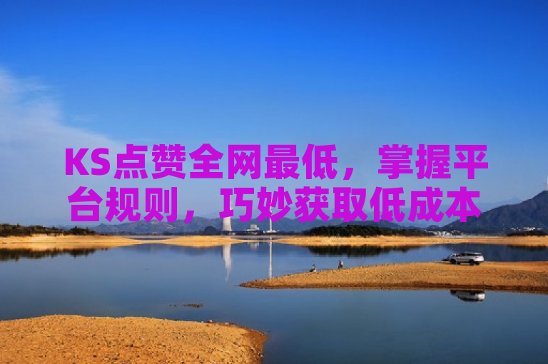 KS点赞全网最低，掌握平台规则，巧妙获取低成本赞助。