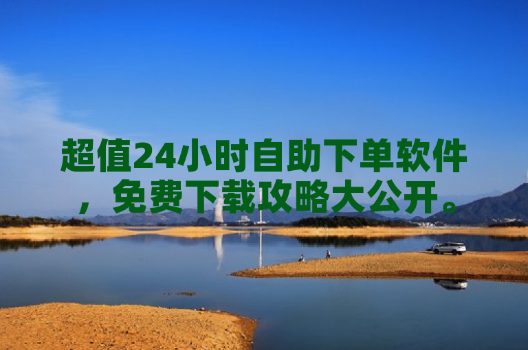 超值24小时自助下单软件，免费下载攻略大公开。