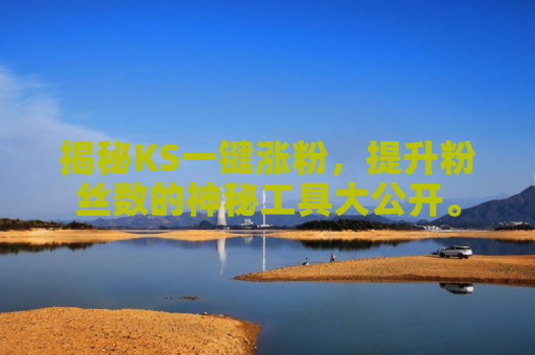 揭秘KS一键涨粉，提升粉丝数的神秘工具大公开。
