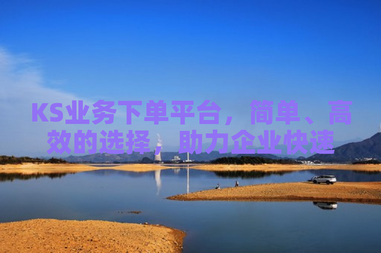 KS业务下单平台，简单、高效的选择，助力企业快速成长。