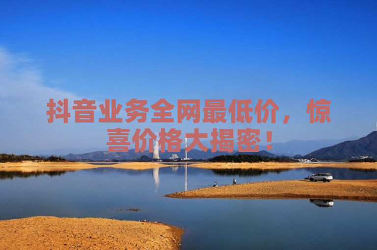 抖音业务全网最低价，惊喜价格大揭密！