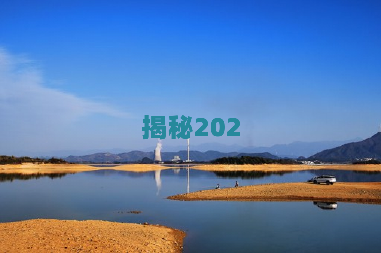揭秘2025年快速下单购买点赞的独家攻略