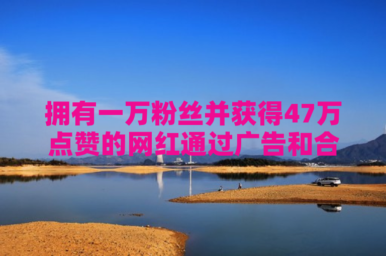 拥有一万粉丝并获得47万点赞的网红通过广告和合作可实现盈利。