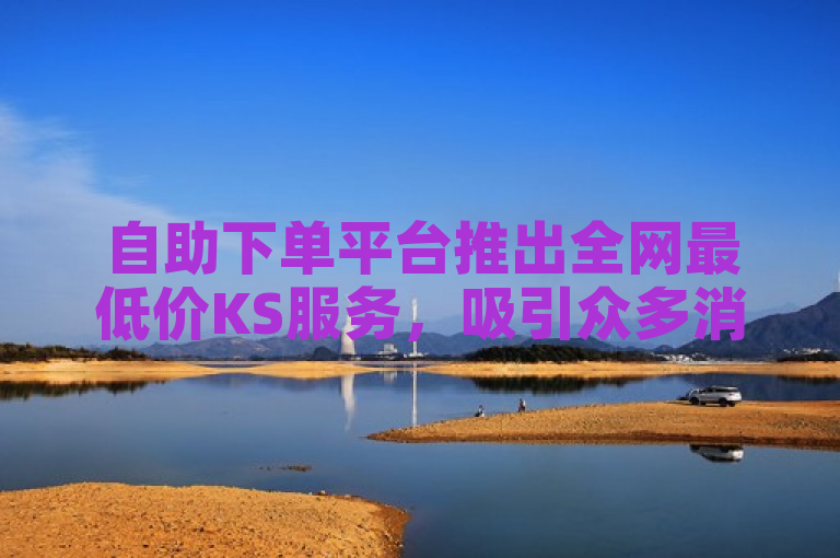自助下单平台推出全网最低价KS服务，吸引众多消费者关注。