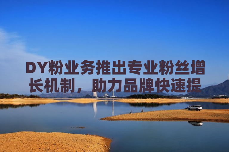 DY粉业务推出专业粉丝增长机制，助力品牌快速提升影响力。