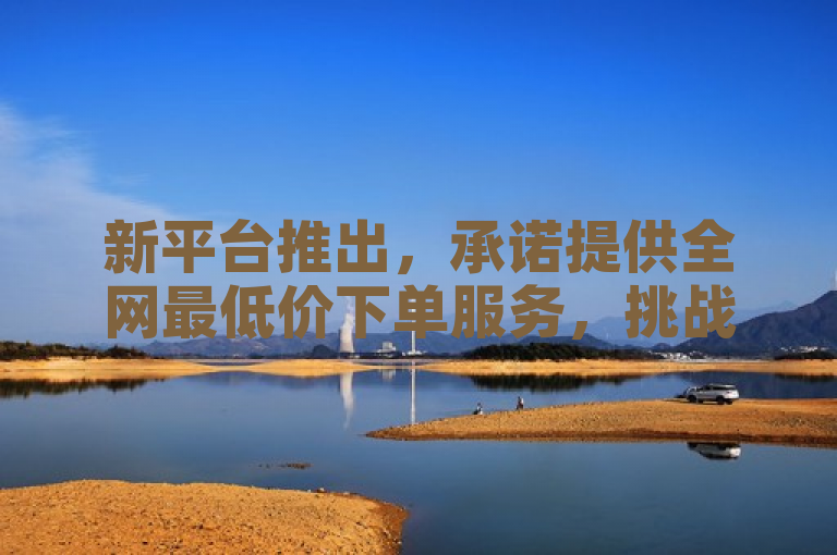 新平台推出，承诺提供全网最低价下单服务，挑战市场最低价。