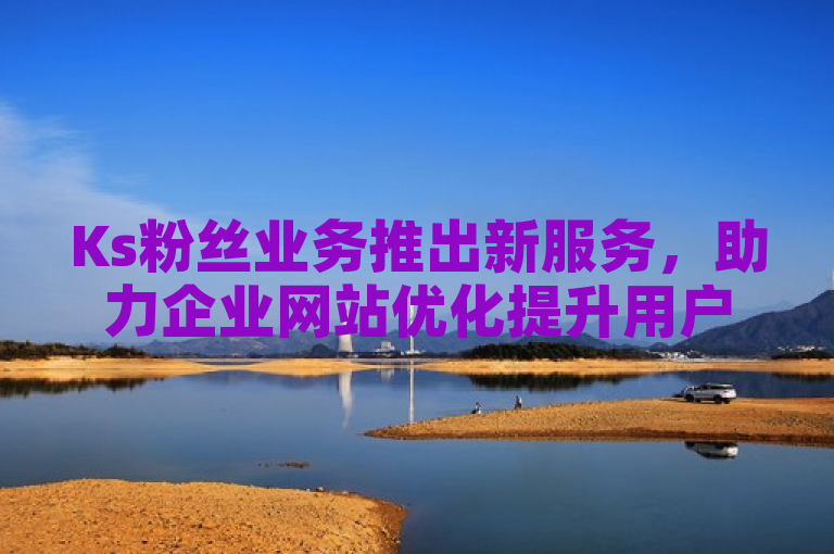 Ks粉丝业务推出新服务，助力企业网站优化提升用户体验。