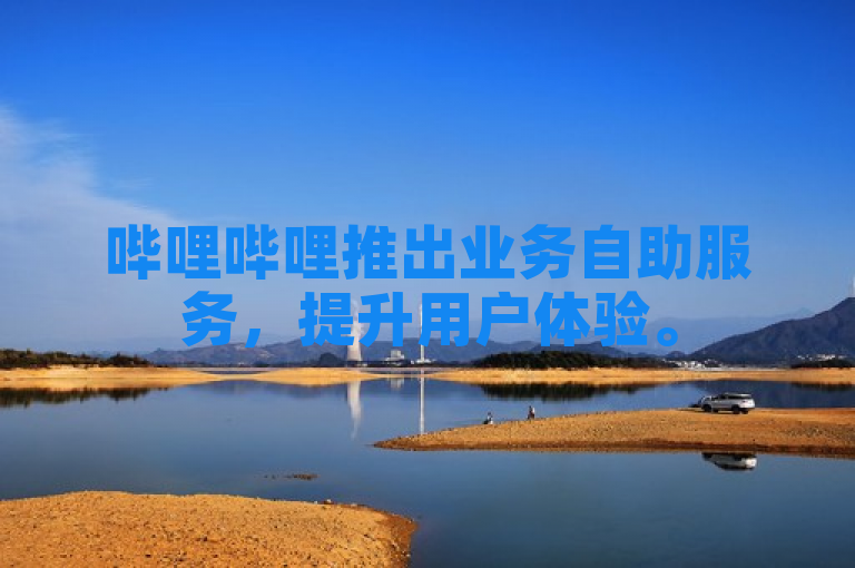 哔哩哔哩推出业务自助服务，提升用户体验。