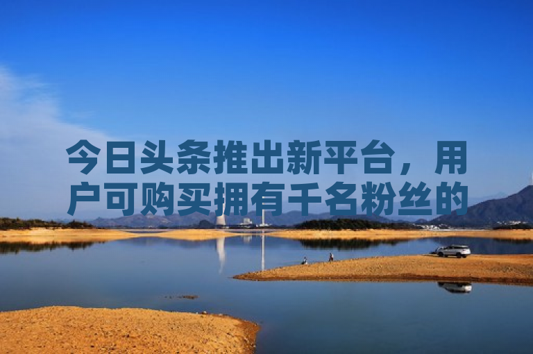 今日头条推出新平台，用户可购买拥有千名粉丝的账号。