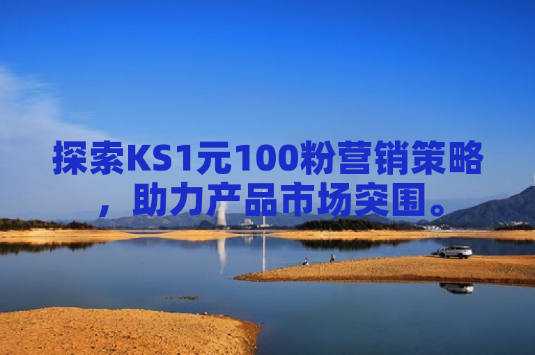 探索KS1元100粉营销策略，助力产品市场突围。
