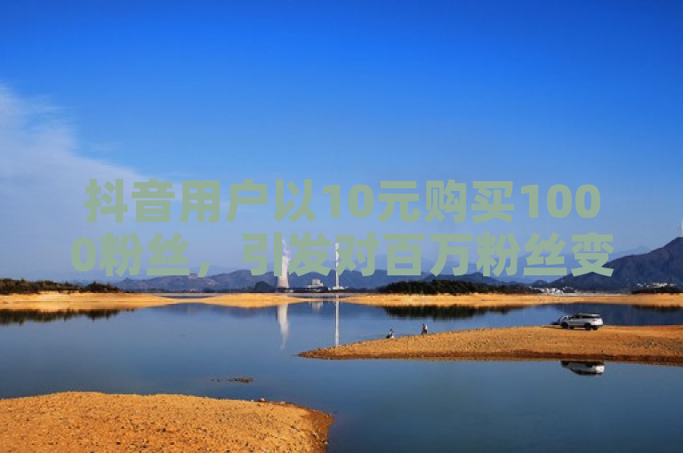 抖音用户以10元购买1000粉丝，引发对百万粉丝变现能力的探讨。