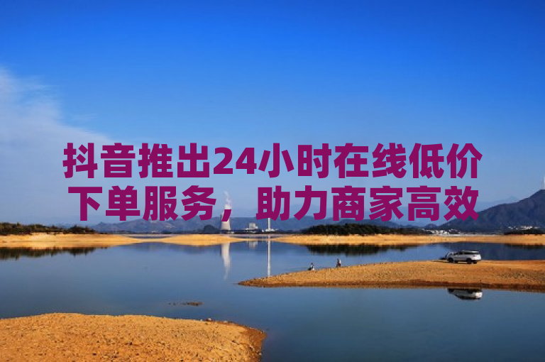 抖音推出24小时在线低价下单服务，助力商家高效卖货。