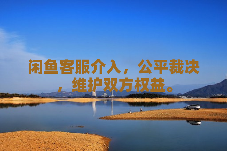 闲鱼客服介入，公平裁决，维护双方权益。