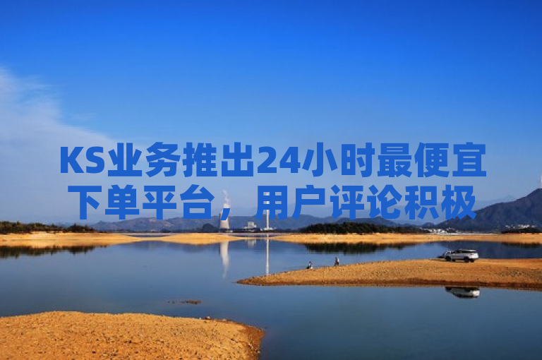KS业务推出24小时最便宜下单平台，用户评论积极。