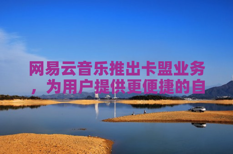 网易云音乐推出卡盟业务，为用户提供更便捷的自助下单体验。