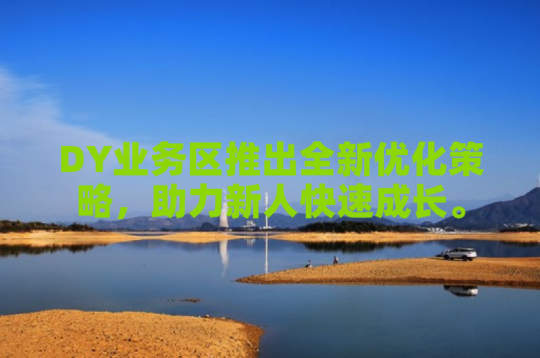 DY业务区推出全新优化策略，助力新人快速成长。