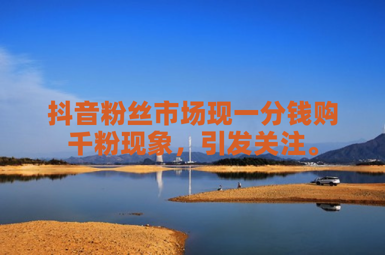 抖音粉丝市场现一分钱购千粉现象，引发关注。