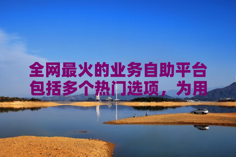 全网最火的业务自助平台包括多个热门选项，为用户提供便捷服务。