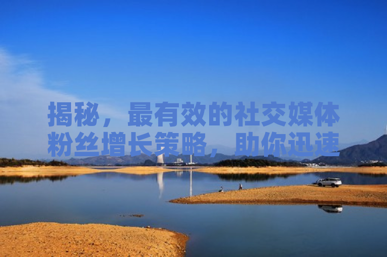 揭秘，最有效的社交媒体粉丝增长策略，助你迅速提升关注度！