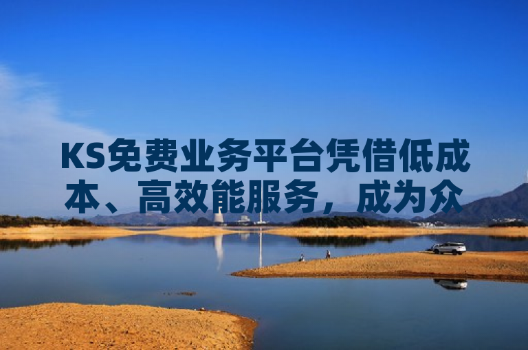 KS免费业务平台凭借低成本、高效能服务，成为众多企业实现高效运营的首选。