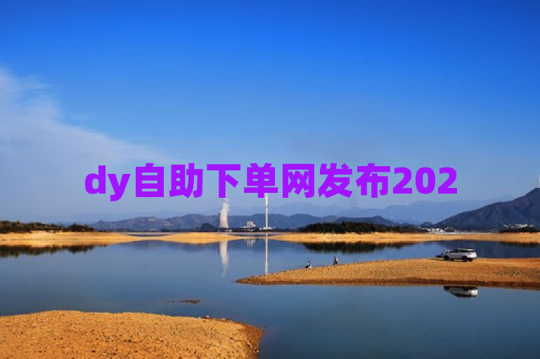 dy自助下单网发布2025必学指南，全面解析便捷自助下单平台。