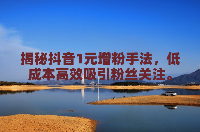 揭秘抖音1元增粉手法，低成本高效吸引粉丝关注。
