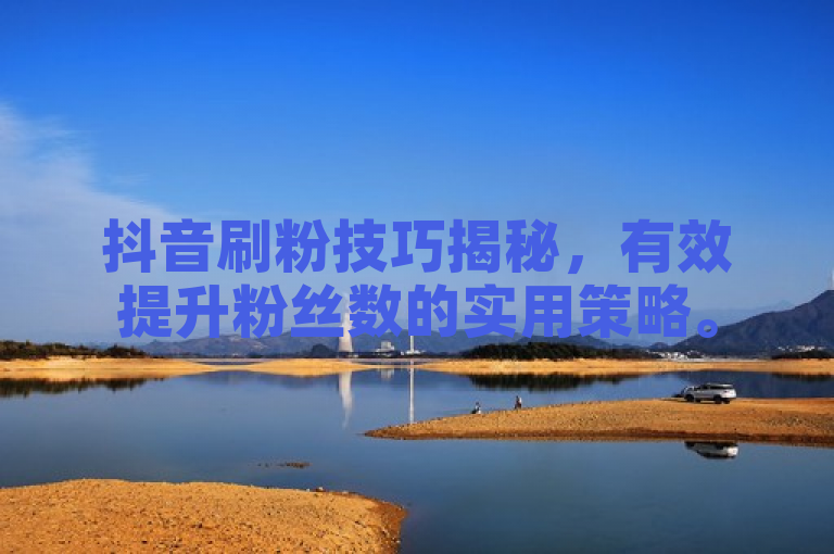 抖音刷粉技巧揭秘，有效提升粉丝数的实用策略。