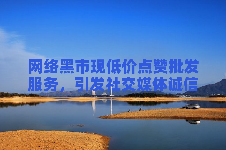 网络黑市现低价点赞批发服务，引发社交媒体诚信危机。
