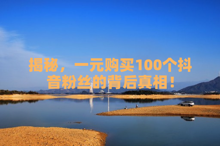 揭秘，一元购买100个抖音粉丝的背后真相！