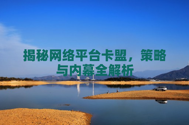 揭秘网络平台卡盟，策略与内幕全解析