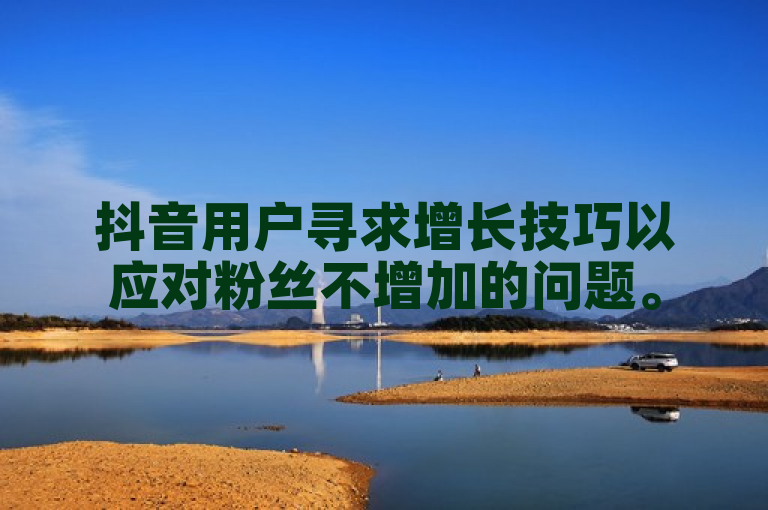 抖音用户寻求增长技巧以应对粉丝不增加的问题。