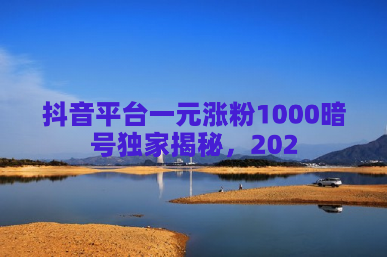 抖音平台一元涨粉1000暗号独家揭秘，2025必学技巧助你快速增加粉丝量。