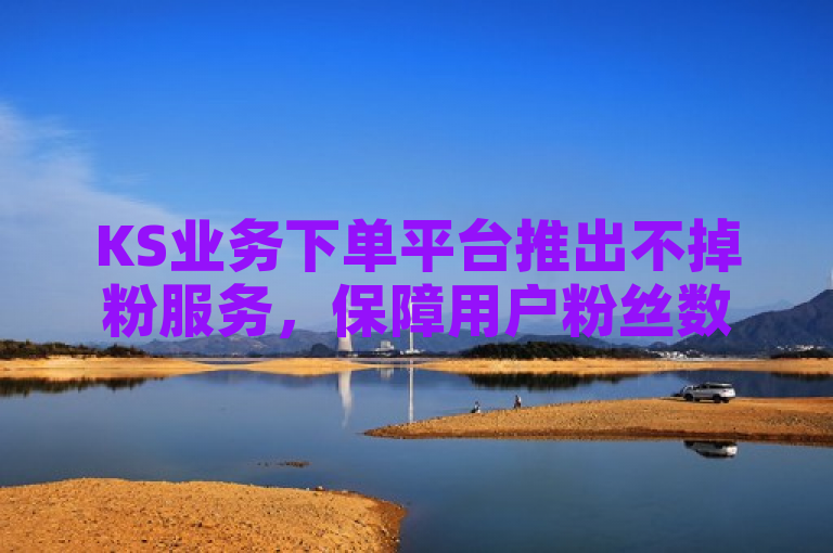 KS业务下单平台推出不掉粉服务，保障用户粉丝数量稳定。