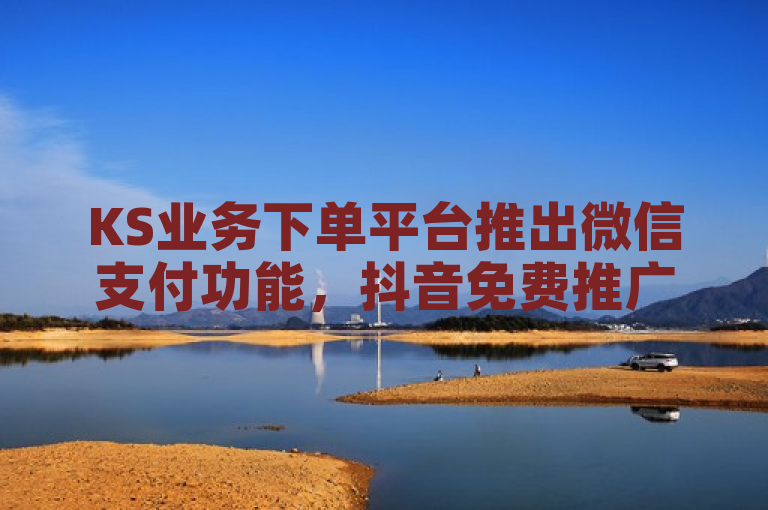 KS业务下单平台推出微信支付功能，抖音免费推广引流。