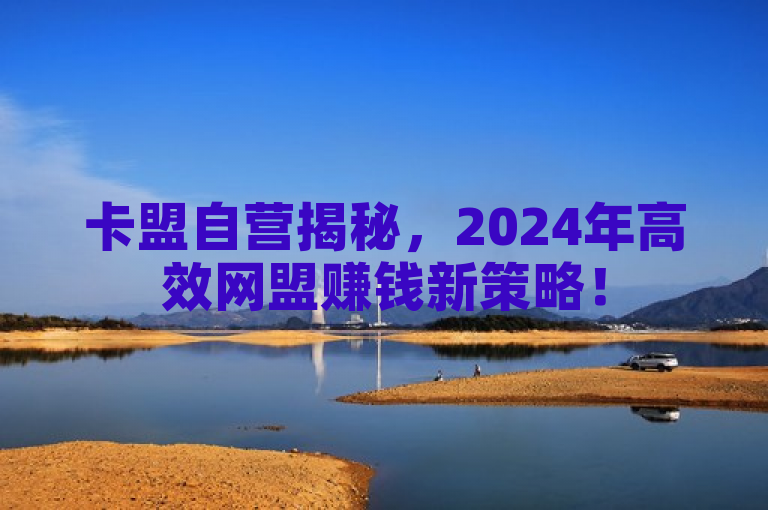 卡盟自营揭秘，2024年高效网盟赚钱新策略！