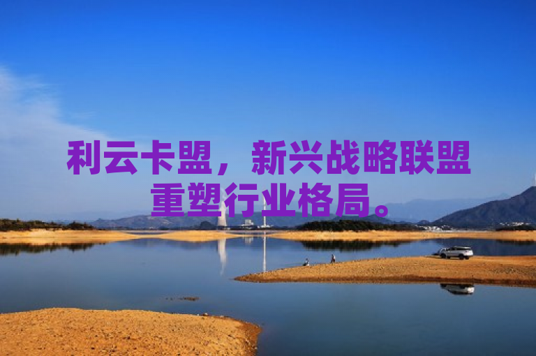 利云卡盟，新兴战略联盟重塑行业格局。