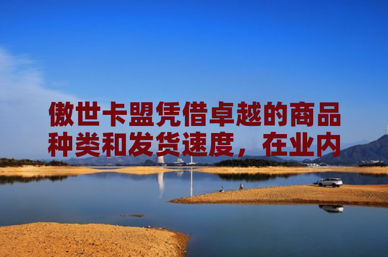 傲世卡盟凭借卓越的商品种类和发货速度，在业内树立了王者风范。