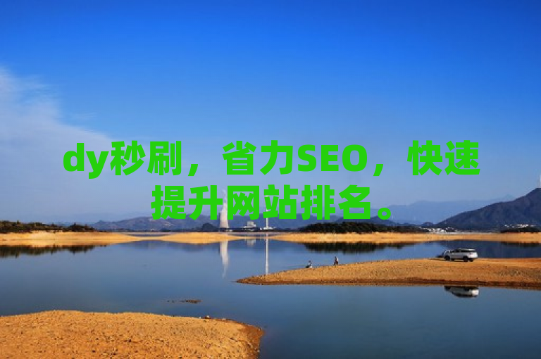 dy秒刷，省力SEO，快速提升网站排名。