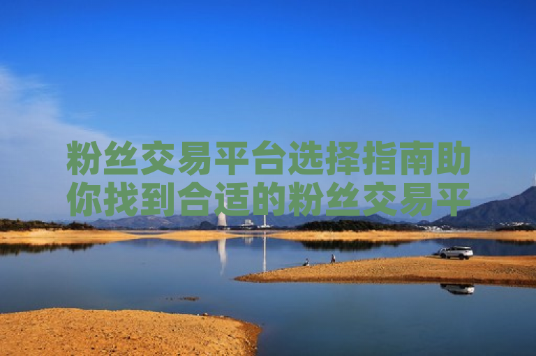 粉丝交易平台选择指南助你找到合适的粉丝交易平台。