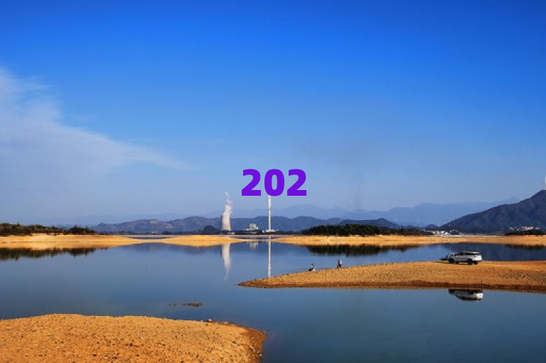2025必学，dy评论下单的独家揭秘，教你正确评论，让推广效果更佳！