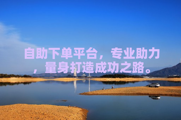自助下单平台，专业助力，量身打造成功之路。