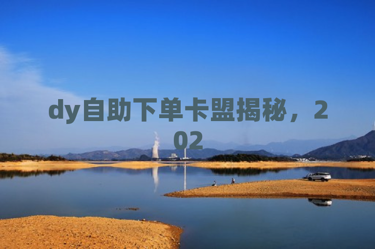 dy自助下单卡盟揭秘，2025必学的实惠便捷自助下单服务！