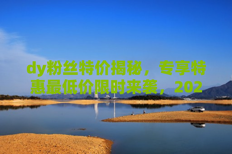 dy粉丝特价揭秘，专享特惠最低价限时来袭，2025必学！