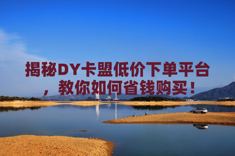 揭秘DY卡盟低价下单平台，教你如何省钱购买！