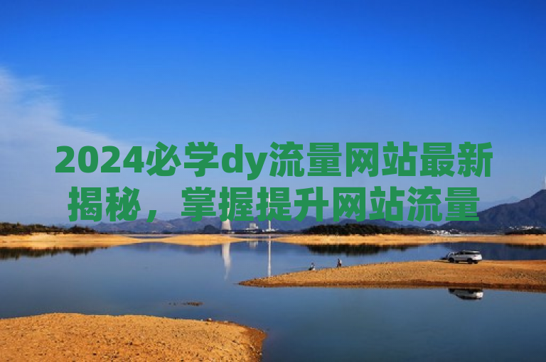 2024必学dy流量网站最新揭秘，掌握提升网站流量有效技巧。