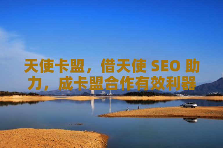 天使卡盟，借天使 SEO 助力，成卡盟合作有效利器。