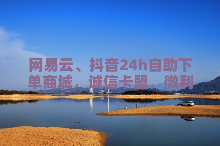 网易云、抖音24h自助下单商城，诚信卡盟，微利也疯狂！