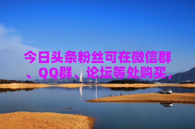 今日头条粉丝可在微信群、QQ群、论坛等处购买，但非正规渠道风险高。