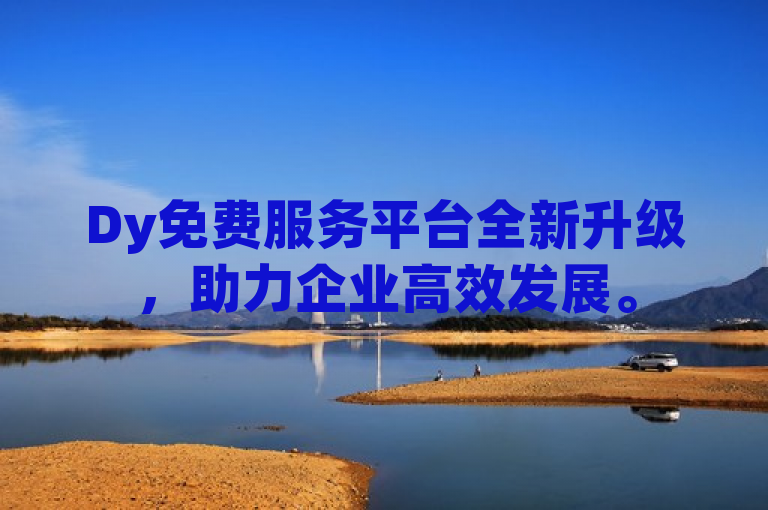 Dy免费服务平台全新升级，助力企业高效发展。